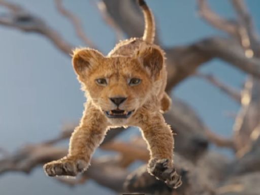 Mufasa: The Lion King; Everything To Know About The Prequel