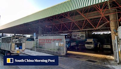 Hong Kong man drives delivery truck into sea at wholesale fish market