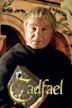 Bruder Cadfael