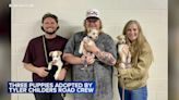 3 puppies from Texas brought to United Center concert, adopted by Tyler Childers road crew