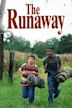 The Runaway