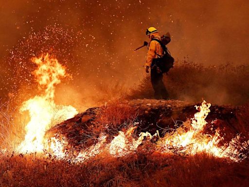 Flames in Line fire in San Bernardino Mountains slow to a crawl