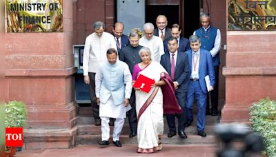 Lot of politics in this economics | India News - Times of India