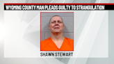 Wyoming County man pleads guilty to strangulation
