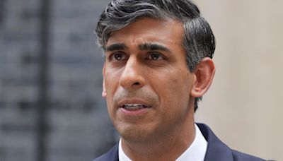 Rishi Sunak Should Stay On As Tory Leader Until November, Conservative Frontbencher Says