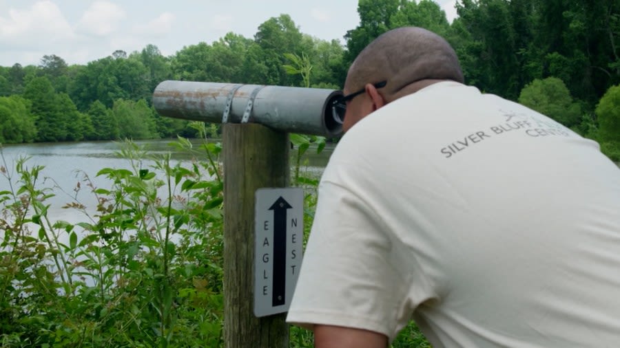 Silver Bluff Audubon Sanctuary has birds, beautiful trails, and history