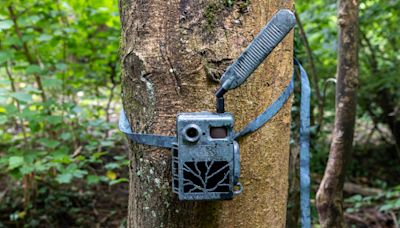 Zeiss Secacam 7 review: the perfect trail camera?