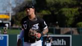 José Rodríguez, a former Chicago White Sox minor-league infielder, suspended a year for betting