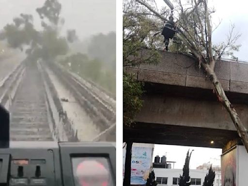 Cae árbol en vías de Línea 4 del Metro; se interrumpe servicio