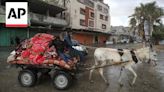 Thousands of Palestinians flee after Israel's overnight incursion in Rafah