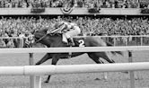 1973 Belmont Stakes