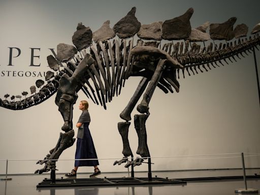 Citadel's Ken Griffin buys a stegosaurus for $45 million in a record auction sale