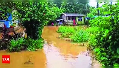 Minor landslips and tree uprooting in Gudalur and Pandalur | Coimbatore News - Times of India