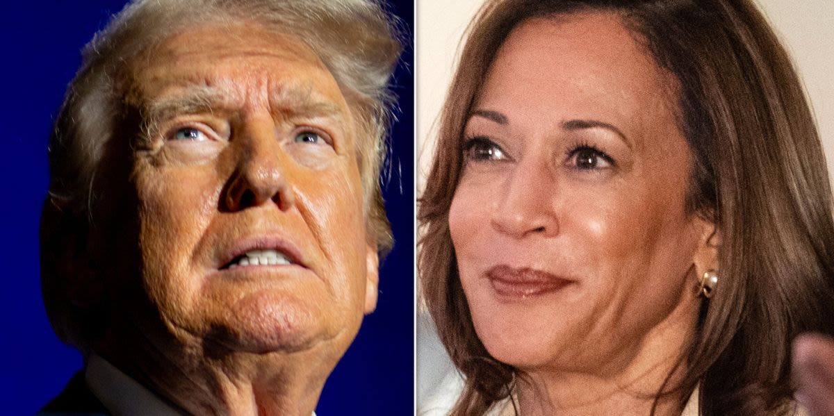 ‘I Approve This Message’: Kamala Harris Instantly Uses Trump’s Own Words Against Him