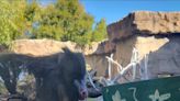 Look: Mandrill at Arizona zoo dubbed the world's oldest at 37