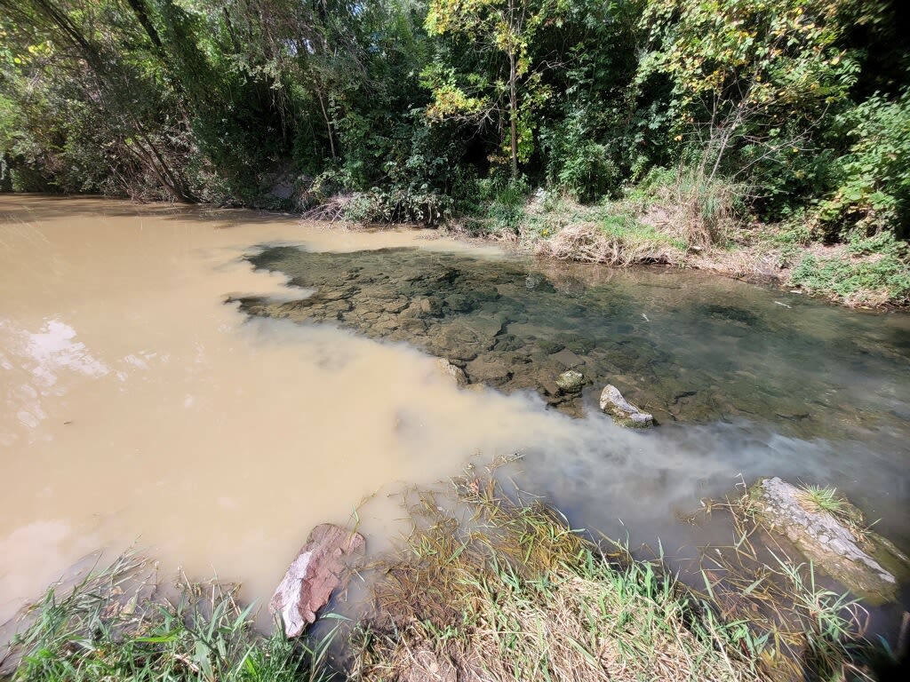 Another Cedar Rapids main break leads to fish kills in urban trout steam