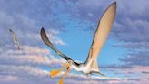 Pterosaur bones found in Australia reveal world’s oldest flying reptile lived there 107 million years ago