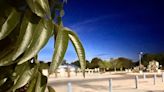 City of Las Vegas to implement plans to help keep park areas safe