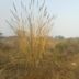 Aravali Biodiversity Park, Gurgaon