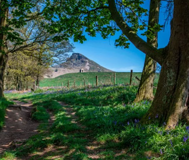 Police respond to 'inadequate' actions over gang with 'replica toy AK-47 rifle' at Roseberry Topping