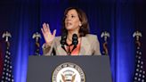 Michigan Democratic delegates vote to give Harris their support for president