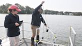 Cape Cod researcher studies how water quality, warming may affect seaweed, jellyfish