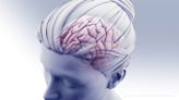 Dual blood thinners under prescribed after minor or warning stroke, especially in women