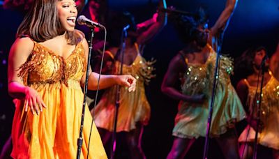 Review: Tina Turner musical is 'simply the best'