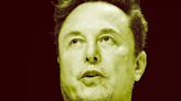 Elon Musk Mocks Concern Over SpaceX Obliterating Baby Birds in Their Nests