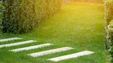 Don't ignore them! These 7 signs are your lawn asking for help – here's how to fix them and save your grass