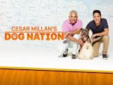 Cesar Millan's Dog Nation