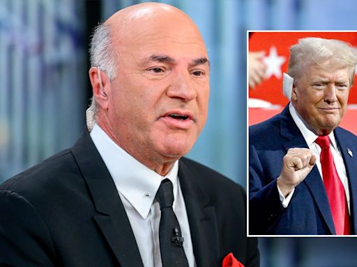 'Shark Tank' star explains why CEOs and business leaders see Trump as the 'better' option