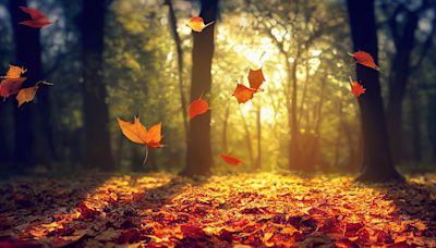 25 Beautiful Bible Verses About Fall