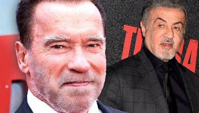 Arnold Schwarzenegger And Sylvester Stallone Made Higher Movie Salaries Than Most Stars, But Who Was Paid More?