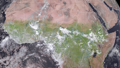 Un inusual cambio en el clima ha pintado de verde el desierto del Sahara | CNN