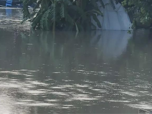 50 metres area along Kukrail river declared ‘floodplain’ | Lucknow News - Times of India