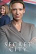 Secret City (TV series)