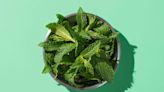 How to Store Mint So It Stays Fragrant and Fresh