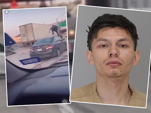 More details revealed about suspect in LBJ Freeway violent rampage