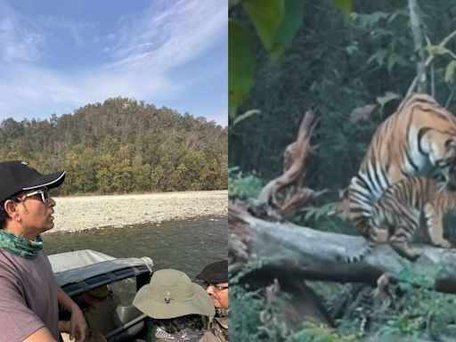 On International Tiger Day 2024, Sachin Tendulkar Urges People to Protect the National Animal - News18