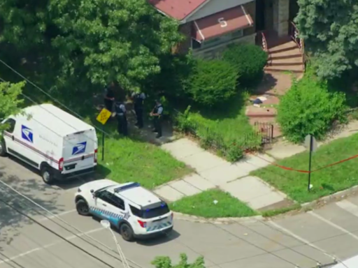 Postal worker shot and killed on Chicago's South Side