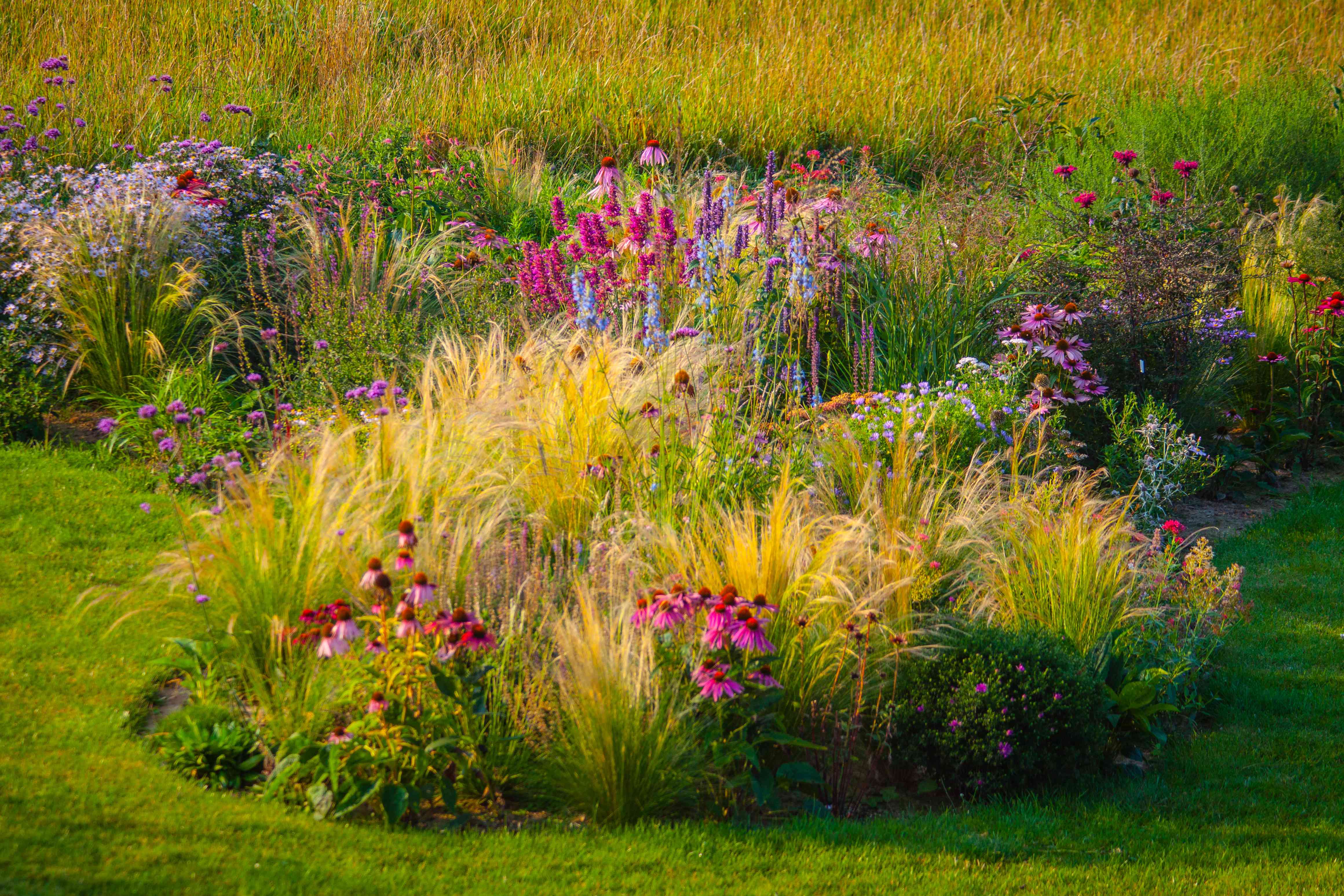 26 Late Summer Flowers You Can Still Plant for Last-Minute Color Before Fall