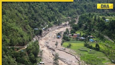 Nepal: 65 people including 7 Indians believed to be missing after two buses get swept away by landslide