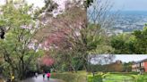 林蔭步道×法式庭園，賞景踏青好去處～宜蘭仁山植物園