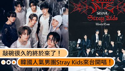 敲碗很久的終於來了！韓國人氣男團Stray Kids終於來台開唱！快準備好你的錢包！