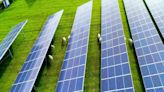 Food security concerns over North Yorkshire solar farm bid