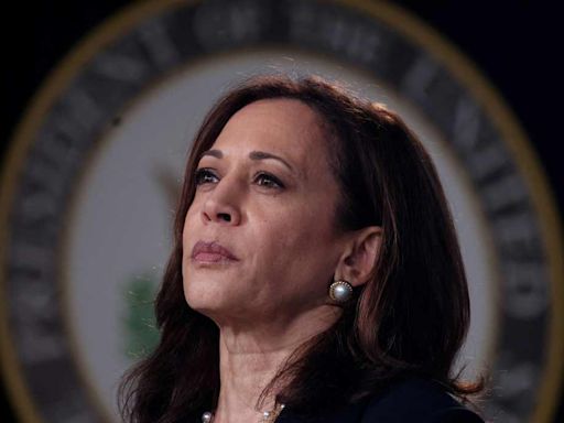 Democrats rally around Kamala Harris after Biden's endorsement; Trump reacts