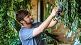 Gardener’s notebook: Tony Le-Britton’s top tips for caring for indoor plants