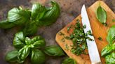 20 Recipes With Fresh Basil to Use Up the Vibrant Herb