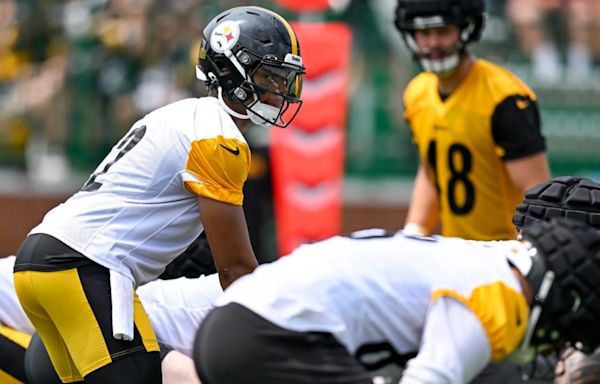 Watch: Huge Fight Breaks Out at Steelers Camp